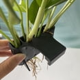 thumbnail image 2 of 4 Soportes para Plantas Emergentes de Cara Abierta, Soporte para Plantas Acuáticas Colgantes para Acuarios, Decoraciones para Peceras para Plantas Sumergidas, A, 2 of 5