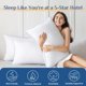 thumbnail image 2 of Almohada JOLLYVOGUE tamaño Queen, lavable, suave y de soporte, 2 of 8