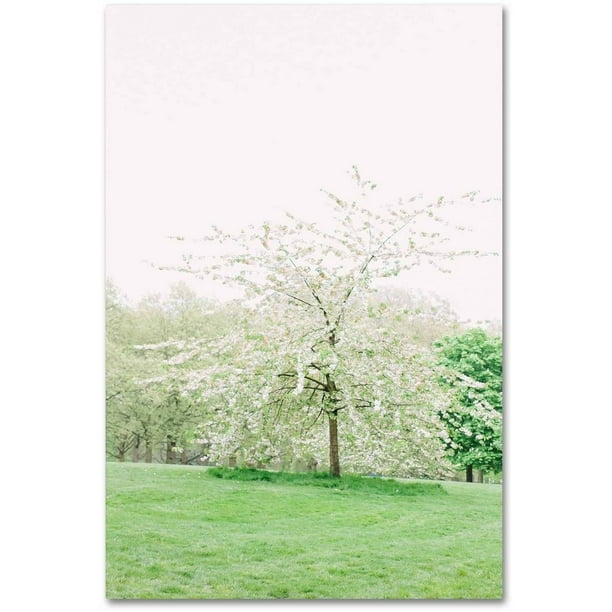 Trademark Fine Art White Cherry Blossom Tree Canvas Art By Ariane Moshayedi Walmart Com Walmart Com