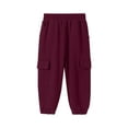 thumbnail image 2 of Cethrio Boys Cargo Sweatpants, Relaxed Fit Casual Multi-pocket Elastic Waist Athletic Pants Wine Size 14, 2 of 5