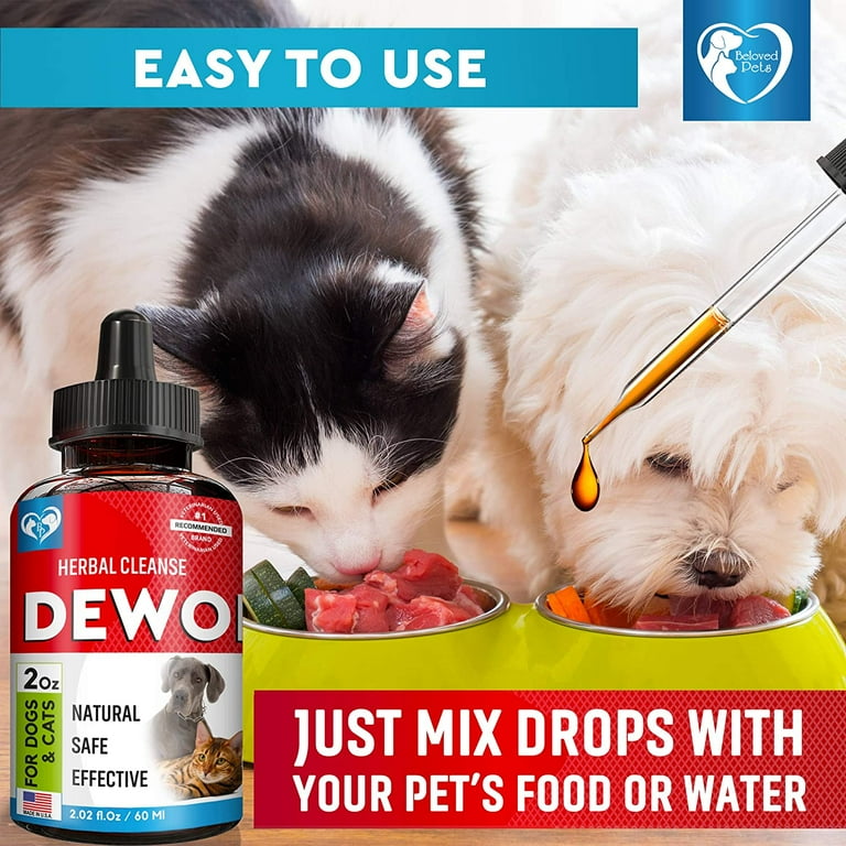 Tapeworm treatment top for dogs walmart
