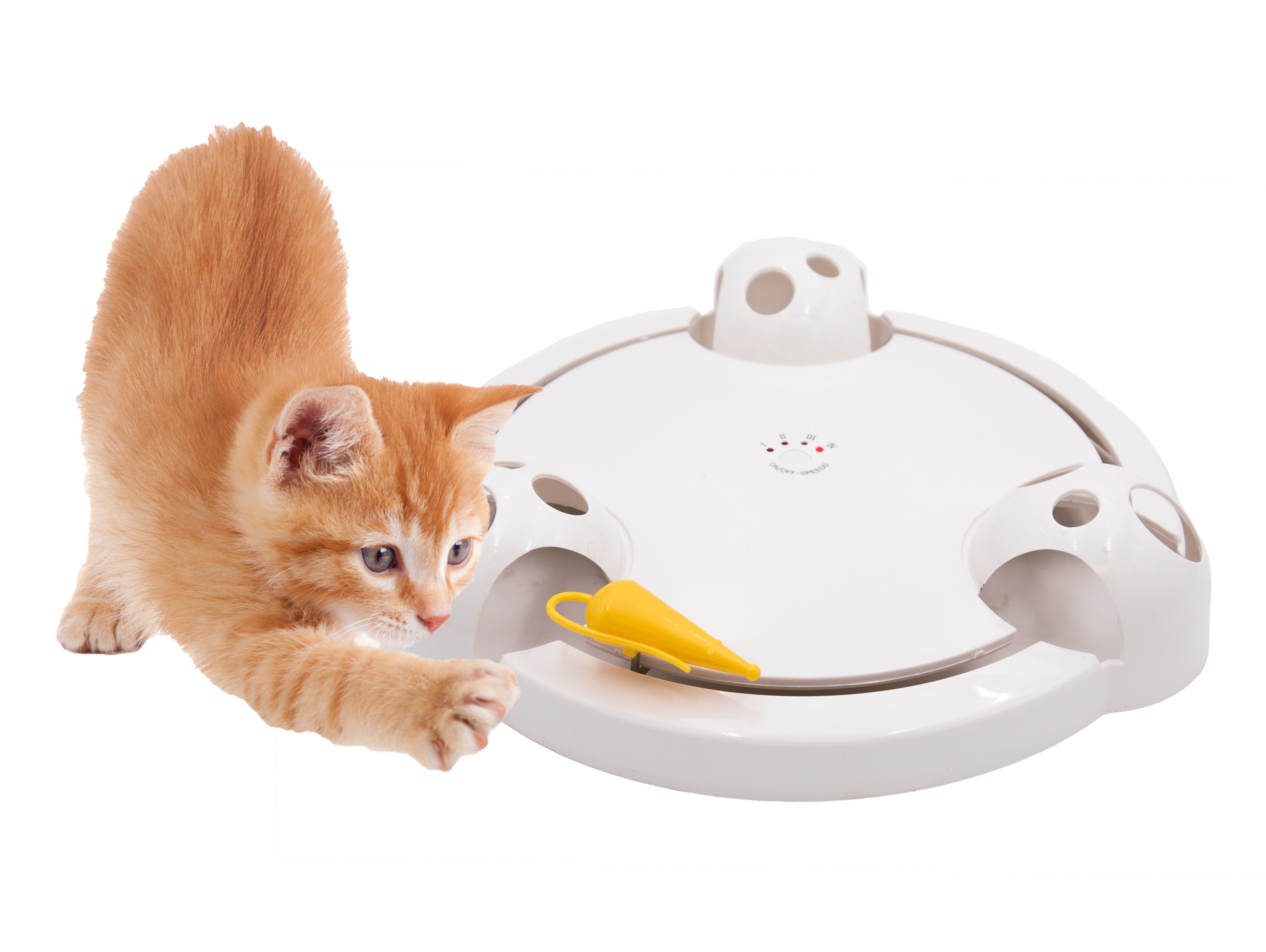 Interactive Mouse Pounce Cat Toy 