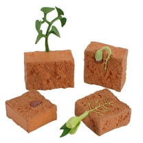 CREATITOY 4PC Realistic Plant Growth Cycle Educational Toys for Kids 3  | Safe PVC Science Figurines Kit for Preschool Learning & Home Decor
