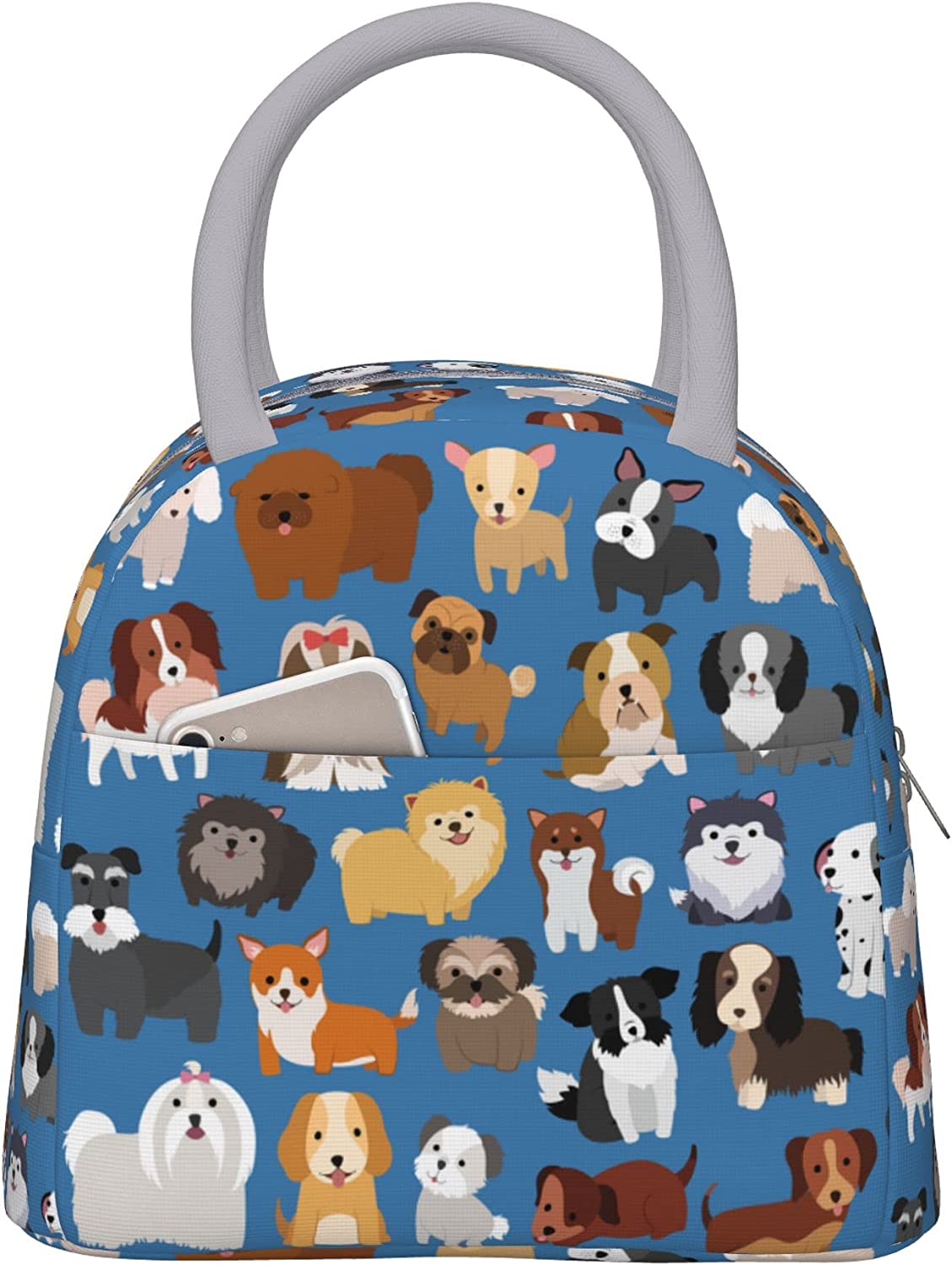 Green Lunch Bag Insulated Lunch Box Reusable Tote Bag for School Work Picnic Travel Sage Green