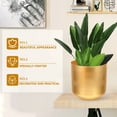 thumbnail image 4 of 2 maceteros de exterior de hierro para suculentas, estilo moderno, de metal, dorados., 4 of 7