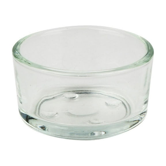 Soimiss Reptile Feeder Bowl Transparent Multi-Functional for Lizards Turtles Crickets 4Pcs