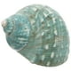 thumbnail image 3 of KAKOWELY Manualidades de playa con conchas, decoración náutica, conchas, pecera, acuario, paisaje, decoración, manualidades con conchas, 3 of 4