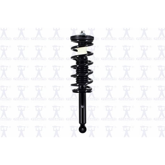 Suspension Strut and Coil Spring Assembly