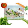 thumbnail image 2 of Caroline's Treasures European Goldfinch Glass Cutting Board Large, 2 of 2