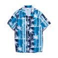 thumbnail image 5 of LYXSSBYX Big and Tall Mens Shirts Short Sleeves Clearance Men's Hawaiian Print Lapel Short Sleeve Shirt, 5 of 7