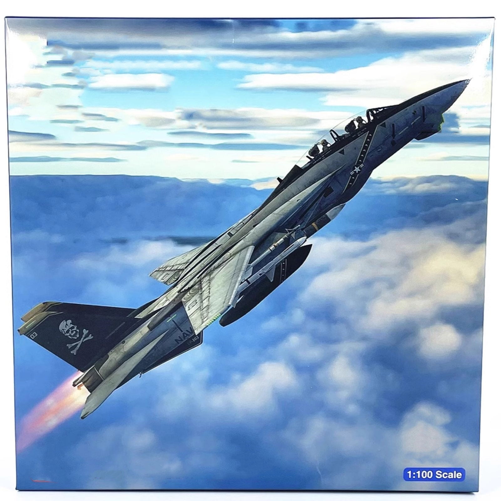 Desktop Ornament American F14 Tomcat Alloy Fighter VX-4 Model Airplane, 19.3cm Long