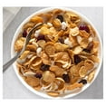 Basic 4 Heart Healthy Cereal, Fruit and Nut Fiber Cereal with Whole Grain, 19.8 oz