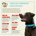 thumbnail image 3 of Country Brook Petz® Premium Nylon Dog Collar with Metal Buckle for Small Medium Large Breeds (Large, 1 Inch, Ice Blue), 3 of 4