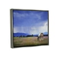 thumbnail image 3 of Stupell Spotted Horse Grazing Country Grassland Animals & Insects Photography Gray Floater Framed Art Print Wall Art, 3 of 6