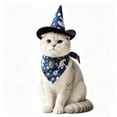 thumbnail image 4 of Aoznliie Dog Bandana, Halloween Hat & Scarf Set for Cats Small Dogs, 18x26 inch Pet Costume for Porch Geese, Blue, 4 of 7