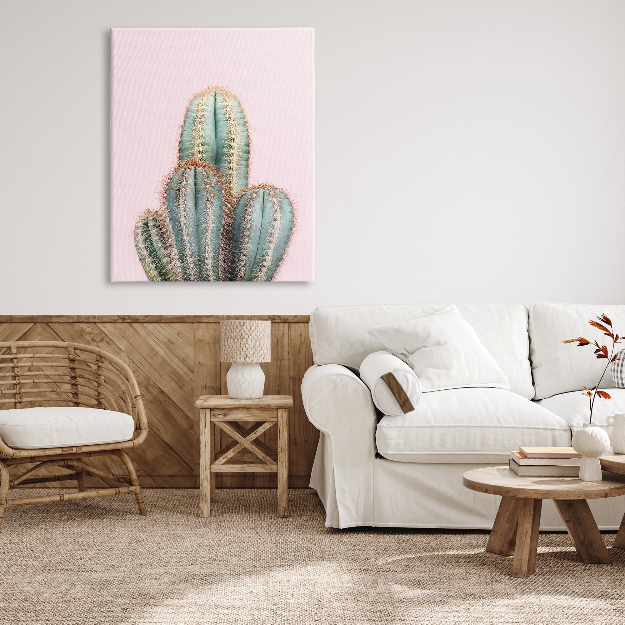 Stupell Industries Blush Cactus Vegetation Botanical & Floral Photography Gallery Wrapped Canvas Print Wall Art, 36 x 48