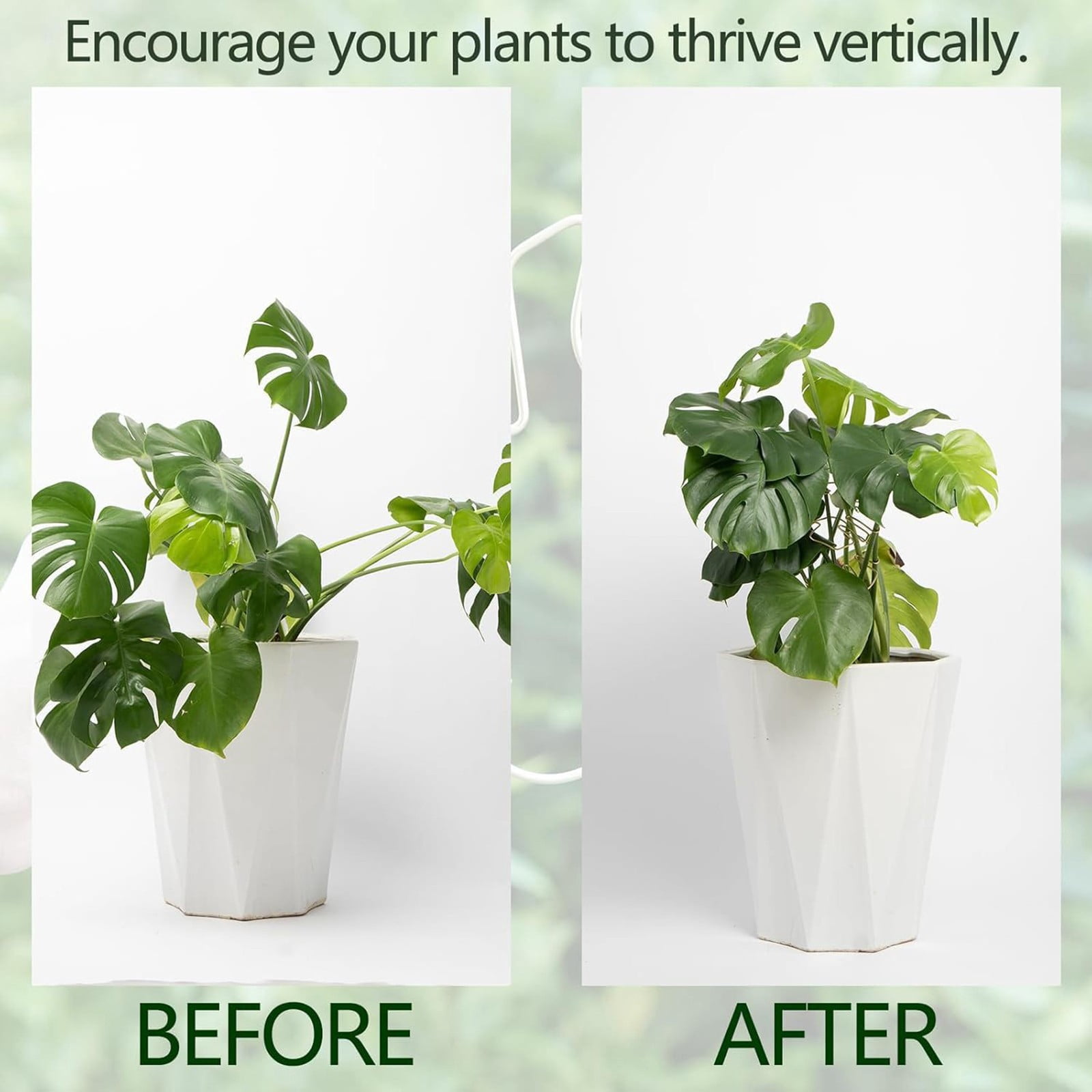 1Pcs Monstera Plant Support, Plant Stem Supports for Indoor Plants, Stable Plant Support Stakes for Indoor Plant, Uniquely Leaf Shaped Plant Support for Thriving Growth Indoor Climbing Plant