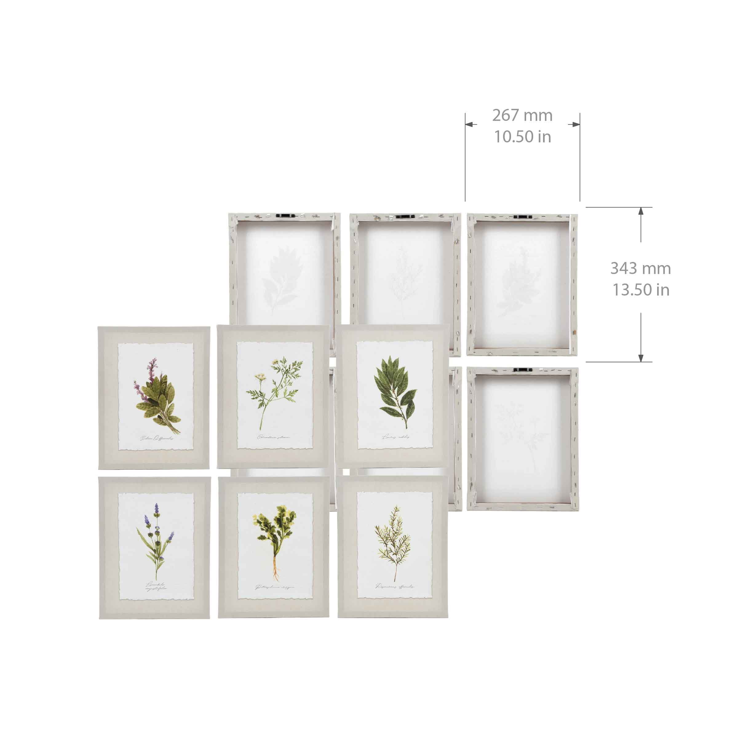 Ava Barrett Botanical Herbs 10.5" x 13.5" Multicolor Canvas Art Prints, Set of 6, by Prinz