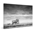 thumbnail image 5 of Parvez Taj Elephant Canvas Wall Art, 5 of 5