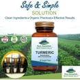 thumbnail image 3 of Turmeric Root Black Pepper Capsules Kosher Vegan (60 Caps) (450 mg), 3 of 7