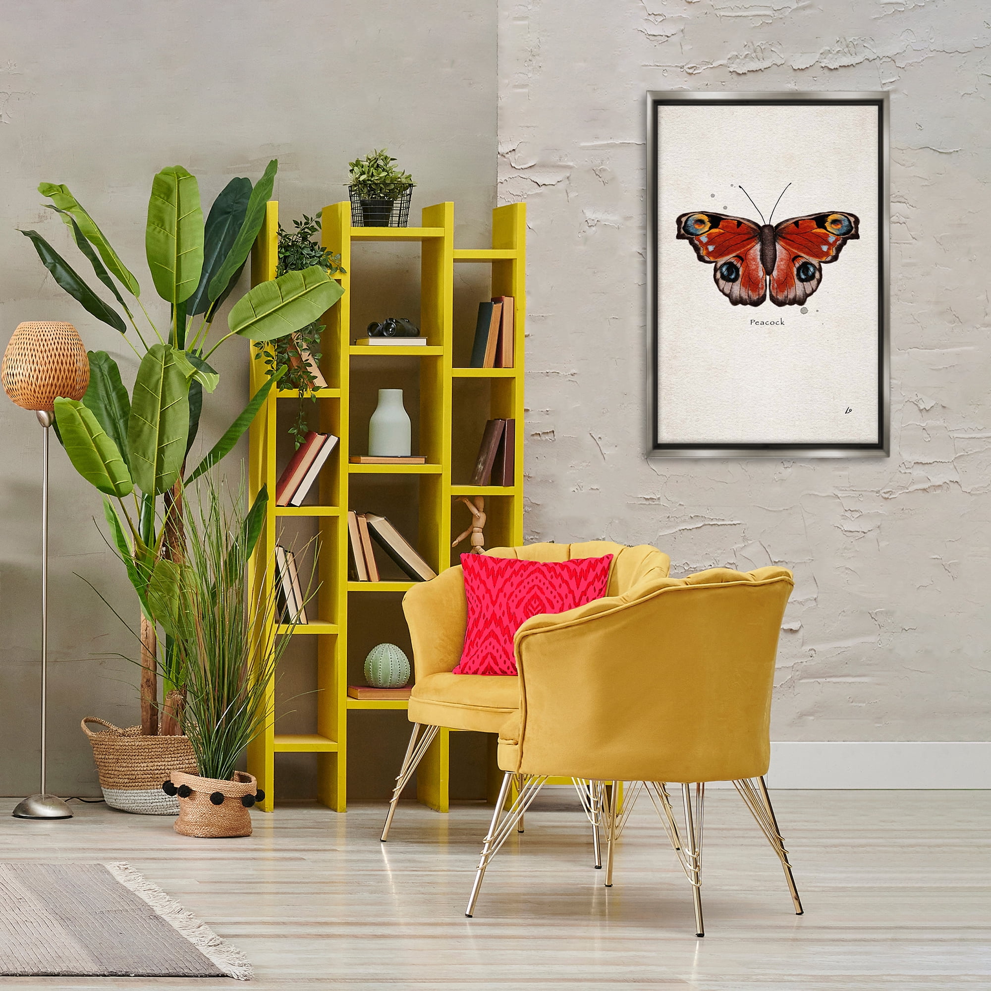 Stupell Industries Peacock Butterfly Study Insects Painting Gray Floater Framed Canvas Art Print Wall Art, 21 x 31