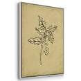 thumbnail image 3 of Holly Branch I - Framed Gallery Wrapped Holiday Canvas - 17 x 25 - White Frame, 3 of 8