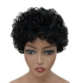 thumbnail image 3 of Peluca Corta Afro Negra de La Peluca Corta Pelucas Pelucas de exterior exterior exterior Natural para Las Mujeres jinwen Peluca corta y rizada, 3 of 5