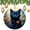 pattern-2, variant on Christmas Ceramic Ornament Cat Sitting Among Flowers Christmas Ornament Keepsake Cute Cat Kitten Christmas Xmas Tree Ornament Decoration Hanging Pendant Decor for Woman Friend Birthday