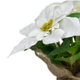 thumbnail image 3 of 10" White Poinsettia Flower Artificial Christmas Floral Arrangement, 3 of 4