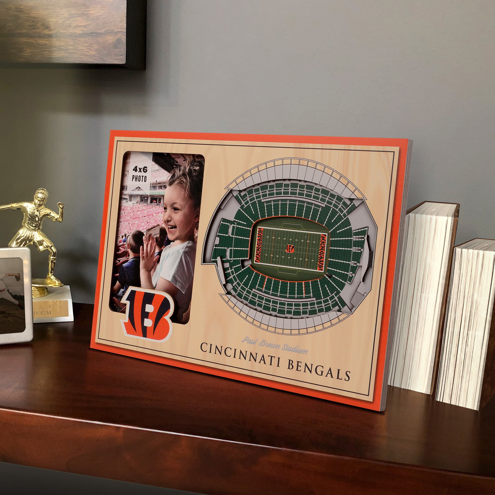 IDNA Cincinnati Bengals 3D StadiumViews Picture Frame