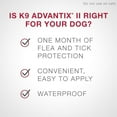 thumbnail image 2 of K9 Advantix II traitement contre les puces pour chiens de petit taille (4 un), 2 of 7