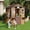 brown, variant on Studyset Kids Outdoor Playhouse,Wooden Play House for Kids,Wooden Play House Outdoor Cottage,Cedar Woodens Kids Playhouse Cottage,Toddler Outdoor Playhouse Vinyl Roof With Play Kitchen