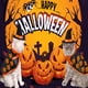 thumbnail image 3 of Halloween Mascota Capa Gato Perro Aderezo navideño Transfiguración, 3 of 5