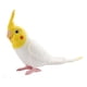 thumbnail image 3 of Figuras de pájaro cacatúa, adorno de pájaro para jardín, educación temprana, loro educativo blanco, 3 of 9