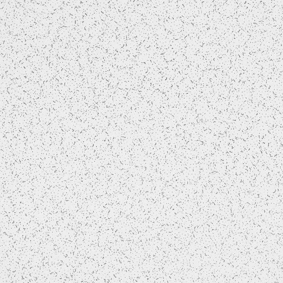 Armstrong 2x4 RANDOM TEXTURED Acoustic Mineral Fiber Ceiling Tiles for Suspended Ceiling Grids, 10-tiles per pack, White