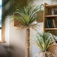 thumbnail image 3 of Moroccan Artificial Palm Tree, 3 of 11