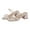 White, variant on Women's High Heeled Sandal Two Strap Square Toe Slip on Comfortable Heeled Sandal or Party Homecoming Daily White