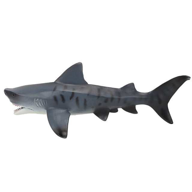 Dioche Sharks Model, Educational Model, 11.4 X 3.3 X 4.5In Boys Educational For Children Kids