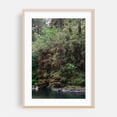 thumbnail image 2 of River Stones and Mossy Grasses - Oregon Photography Forest Woodland Nature Wilderness Scenic Lake Water Unframed Wall Art Print 4 x 6 inches, 2 of 60