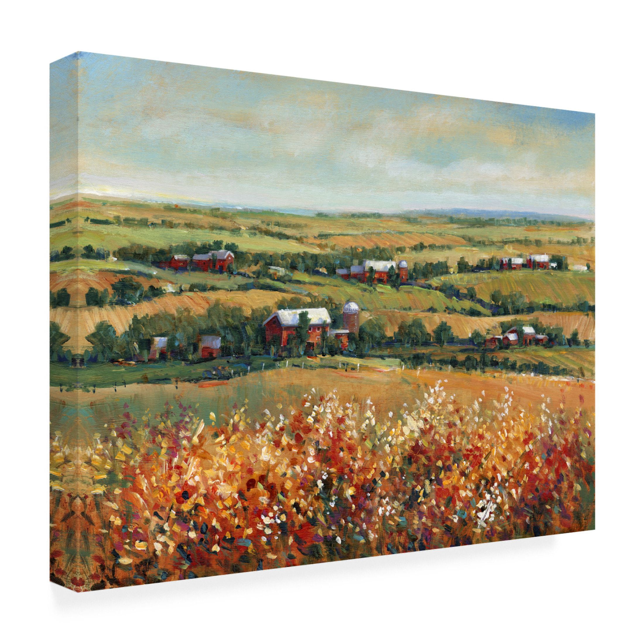 Trademark Fine Art Tim OToole  Rural Open Landscape I Canvas Wall Art