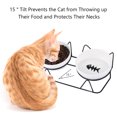 sixwipe Elevated Cat Bowls, 13 oz Double Ceramic Pet Bowls with 15