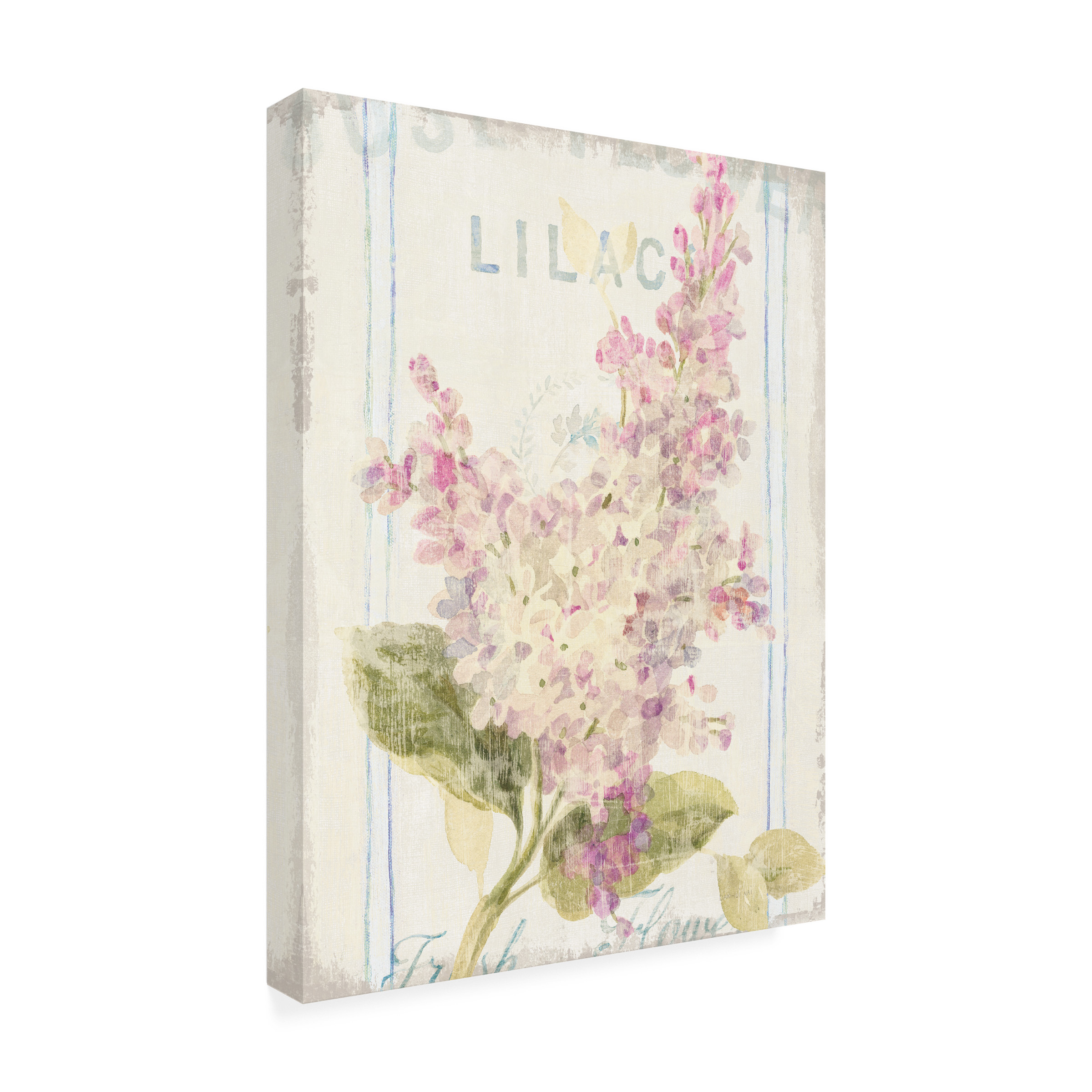 Trademark Fine Art 'Floursack Florals V' Canvas Art by Danhui Nai