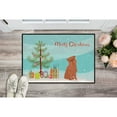 thumbnail image 3 of Carolines Treasures CK3494JMAT Brussels Griffon Christmas Tree Door Mat Indoor Rug or Outdoor Welcome Mat 24x36 Doormat, 3 of 4
