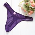 thumbnail image 3 of Calzoncillos transparentes con tanga de malla para hombre FleinngHoz JD710495530, 3 of 7