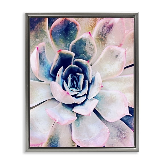 Stupell Industries Contemporary Modern Succulent Plant View Gray Floating Frame Canvas Art, 17 x 21, by Irena Orlov