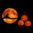 thumbnail image 3 of Miangastore Solar Stake Light Garden LED Solar Light Halloween Pumpkin Solar Light Ornament, 3 of 9