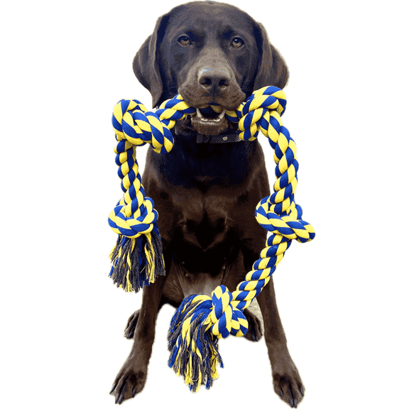 Ruby Approved Cotton Rope Dog Toy for Aggressive Chewers, Blue, Large