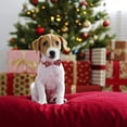 thumbnail image 5 of Christmas Dog Collar with Bow, Bowtie Dog Christmas Collars for Small Medium Large Dogs Pets, 5 of 5