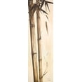 thumbnail image 2 of Pinto, Patricia 10x24 White Modern Wood Framed Museum Art Print Titled - Sepia Guadua Bamboo I, 2 of 4