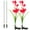 Red, variant on Spencer 2 Pack Outdoor Solar Garden Stake Lights Solar Powered Lights with 8 Lily Flowers, 7 Color Changing LED Solar Garden Lights for Patio, Yard, Lawn, Pathway (Red)